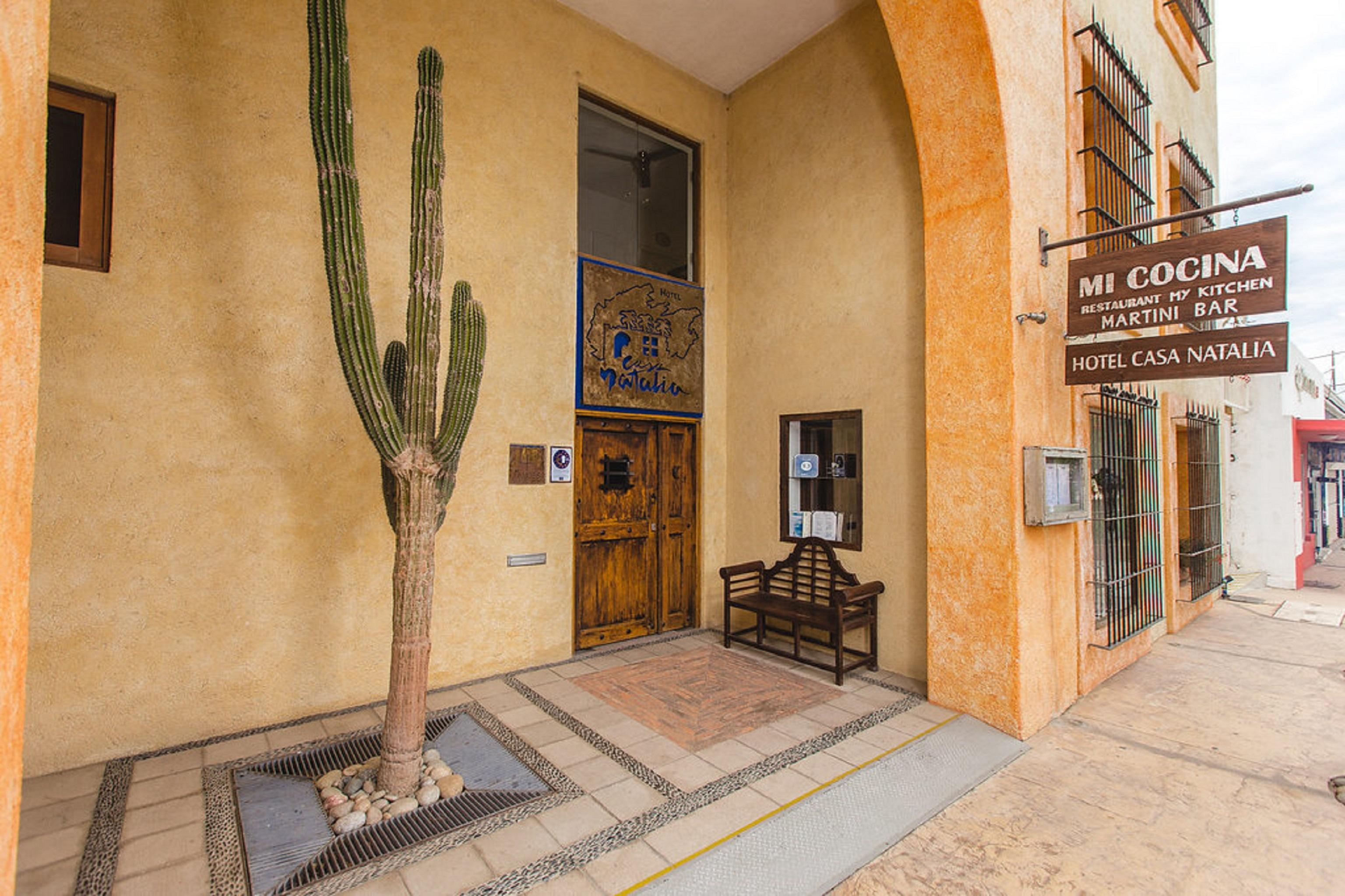 Casa Natalia Boutique Hotel Adults Only San José del Cabo Kültér fotó